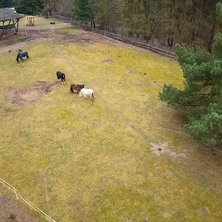 Mongolische Jurte Auf Landhof Inmitten Der Bei Luebeck Tente de luxe